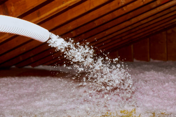Insulation for New Construction in Minden, LA