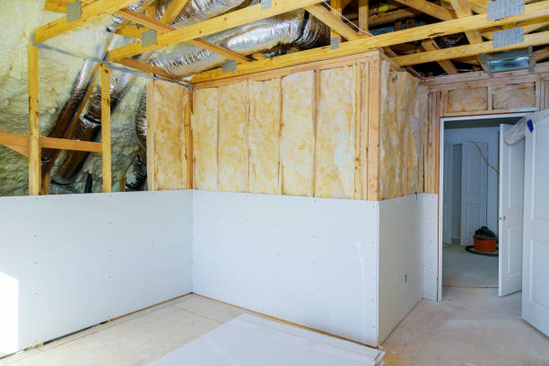 Best Home Insulation Services  in Minden, LA